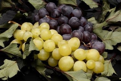 Weinfest in Kapellen-Drusweiler